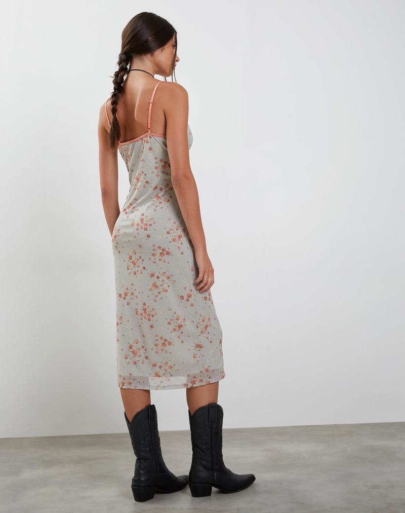 Women's Motel Rocks Camelia Mid Midi Dress Blue Rose | HDE3332PT