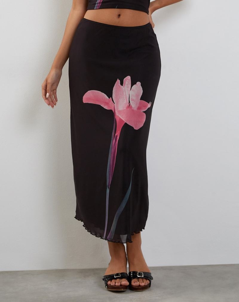 Women\'s Motel Rocks Lassie Midi Skirts Black Pink | TNC9521RJ