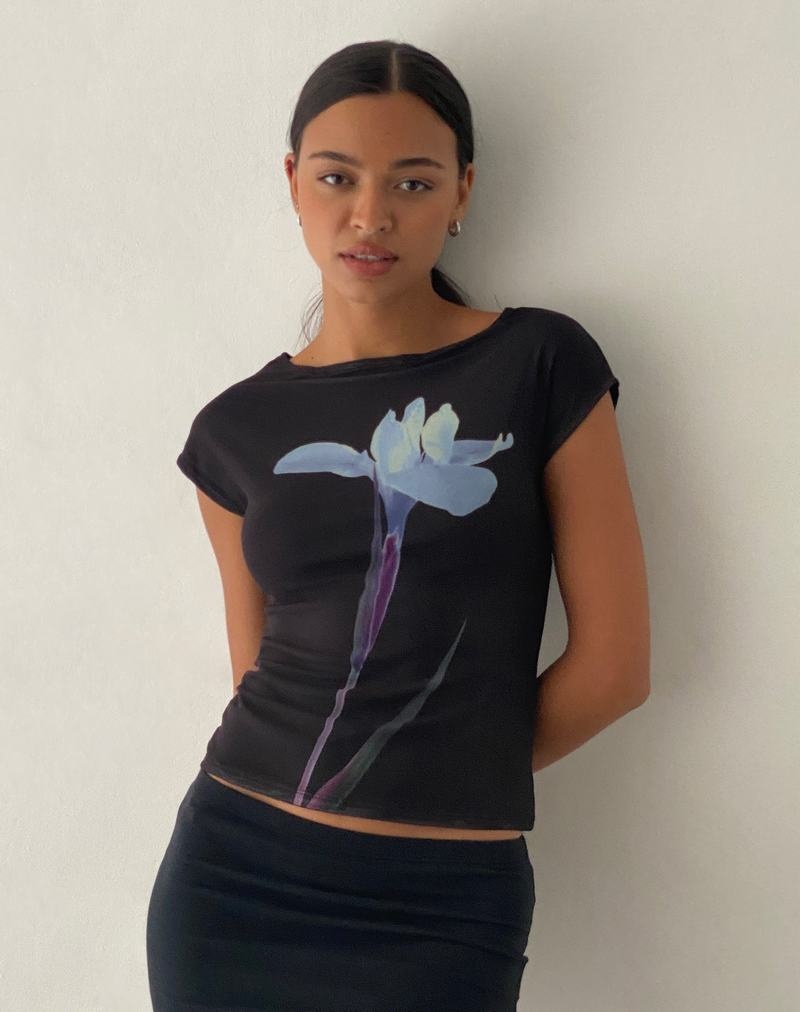 Women's Motel Rocks Nova T Shirts Navy | YQC9834LL